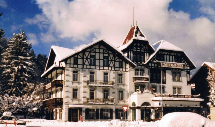 阿尔皮纳酒店(Alpina Hotel)
