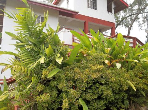 特立尼达和多巴哥公寓旅馆(Tobago Tranquil Guesthouse)