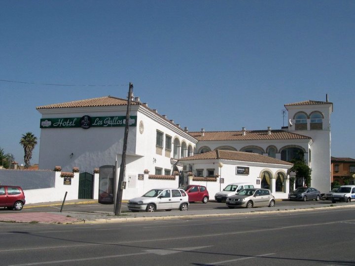 雄鸡庄园酒店(Hotel Cortijo Los Gallos)