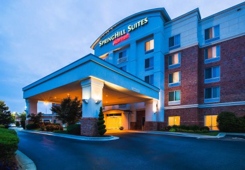 夏洛特诺曼湖/莫尔斯威尔 SpringHill Suites 酒店(SpringHill Suites Charlotte Lake Norman/Mooresville)