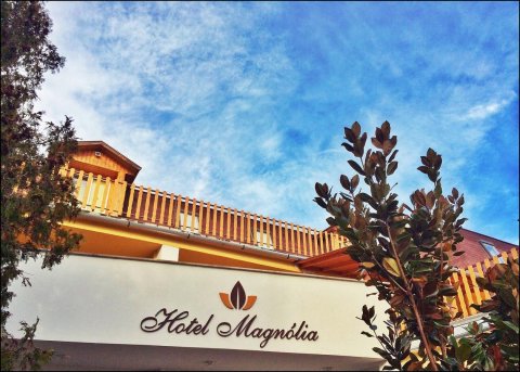 木兰酒店(Hotel Magnólia)