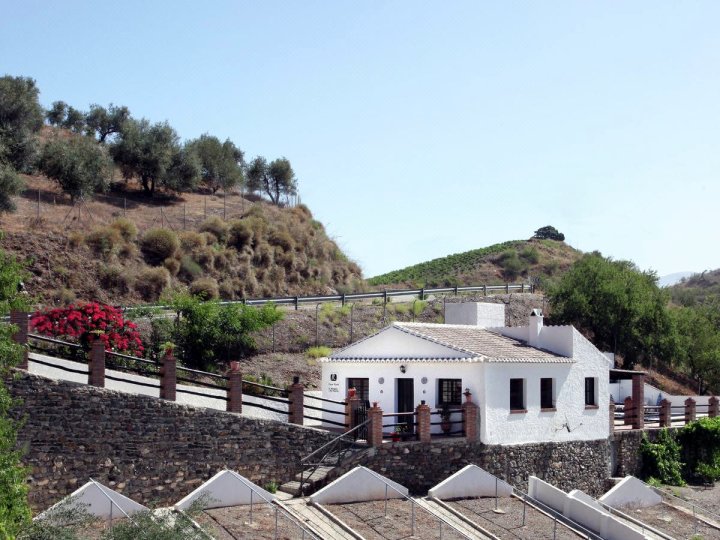 Cozy Cottage in El Borge with Private Pool