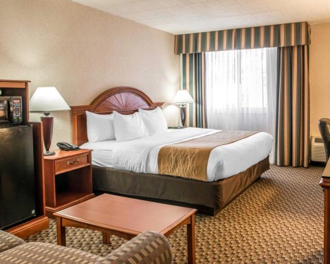 匹兹堡舒适酒店及套房(Comfort Inn and Suites Pittsburgh)