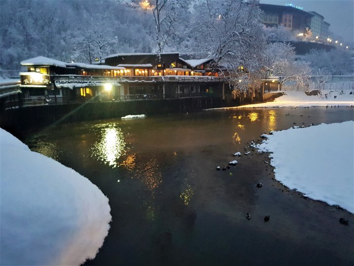 潘申河酒店(Pansion River)