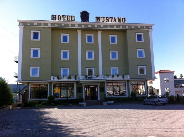 野马酒店(Hotel Mustang)