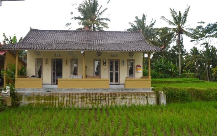 Padi Gadis Villa