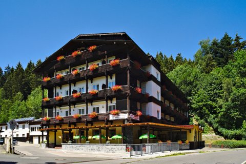 斯坦巴塔自然漫游酒店(Natur- und Wanderhotel am Steinbachtal)