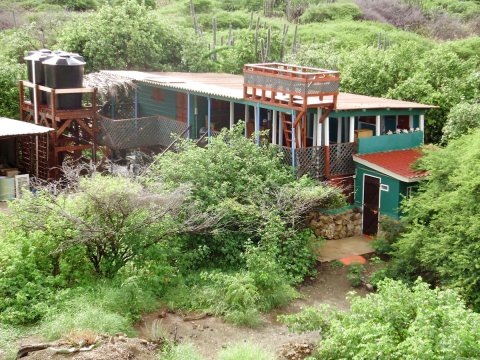 生态小屋旅馆(Ecolodge)