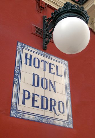 唐佩德罗宫酒店(Casa Palacio Don Pedro)