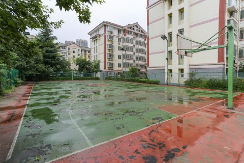 洛阳王城公园旁的温馨公寓(2号店)