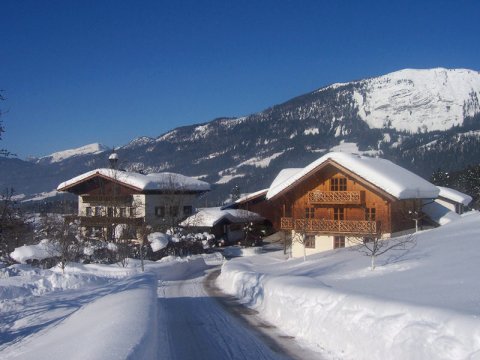 Bauernhof Schnitzhof