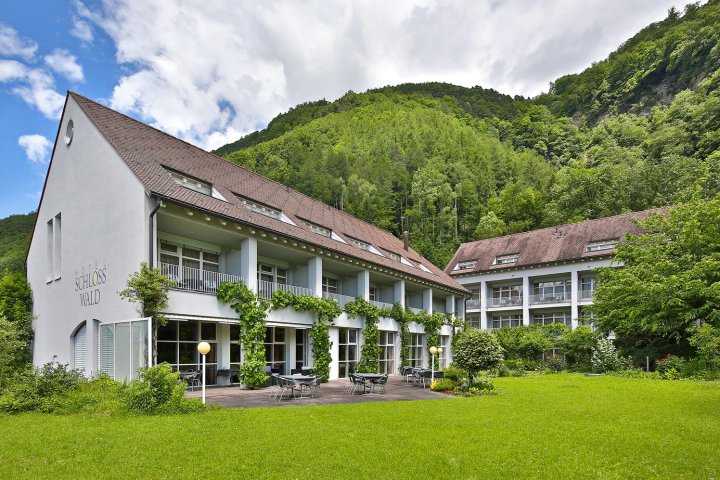斯洛丝沃尔德酒店(Hotel Schlosswald)