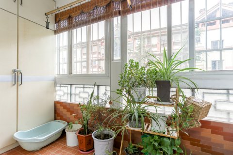 洛阳王城公园旁的温馨公寓(2号店)