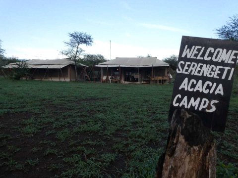 塞伦盖蒂阿卡西亚中央营地酒店(Serengeti Acacia Central Camp)