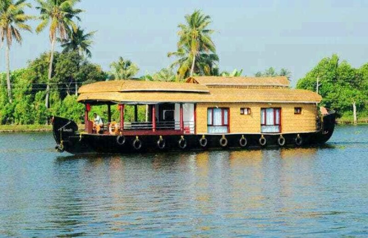 Toney Delux Houseboat-2