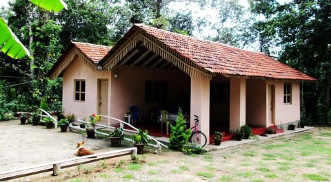 Forest Homestay - Maradi