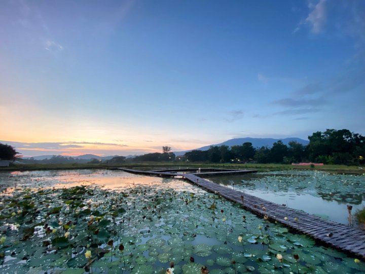 荷花池与稻田山景小木屋(Lotus Pond and Rice Field Mountain Chalet)