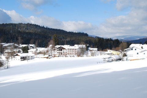 雷斯堡霍夫酒店(Ferien-Hotel Riesberghof)