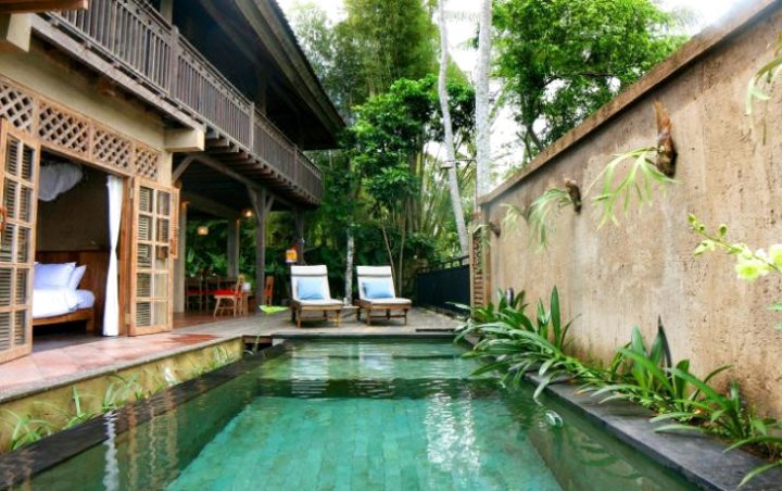 Artist Eco Villa in Ubud Bali