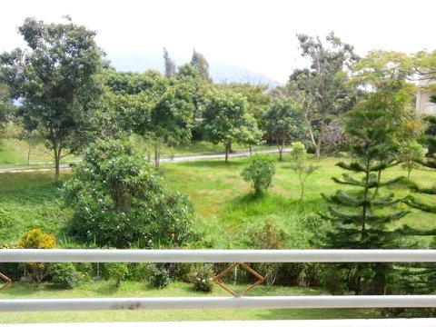 彭卡克别墅度假村(Villa Puncak Resort)