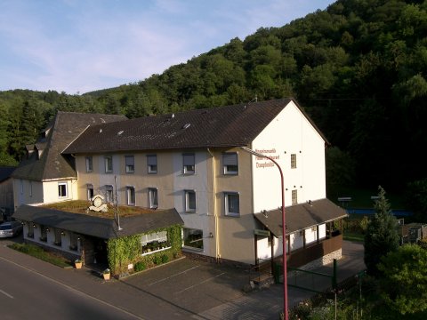 丹普木赫酒店(Hotel Dampfmühle)