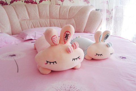 昆明风凌子家普通公寓人民中路分店