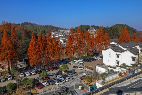 九华山顺达云居民宿(百岁宫缆车店)
