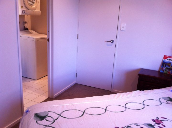 奥克兰市中心商业区公寓家庭旅馆(Auckland CBD Apartment B&B)