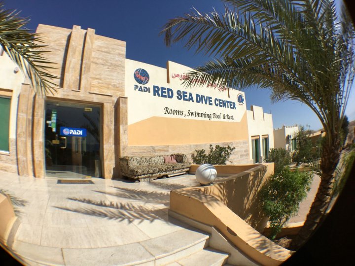 红海潜水中心酒店(Red Sea Dive Center)