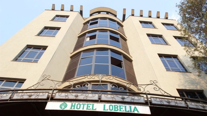 半边莲酒店(Hotel Lobelia)
