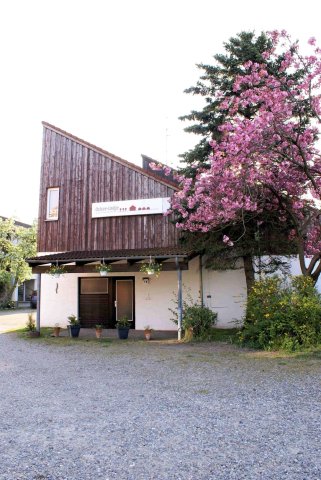 奥斯特斯汽车旅馆(Motel Ostsee Lodge)