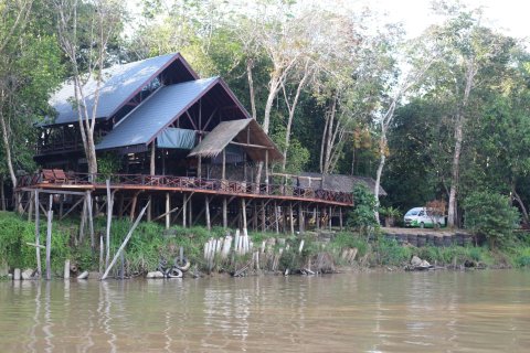 婆罗洲天然苏克毕丽特山林小屋(Borneo Natural Sukau Bilit Resort)