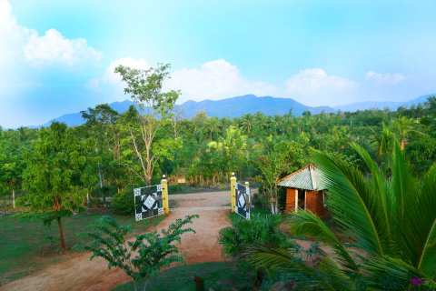 丹布拉巨石场度假村(Boulder Range Resort Dambulla)