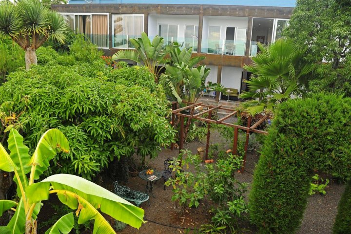安得维马尔公寓酒店(Apartamentos Adjovimar)