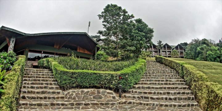 厄尔爱斯达梦泰恩酒店(El Establo Mountain Hotel)