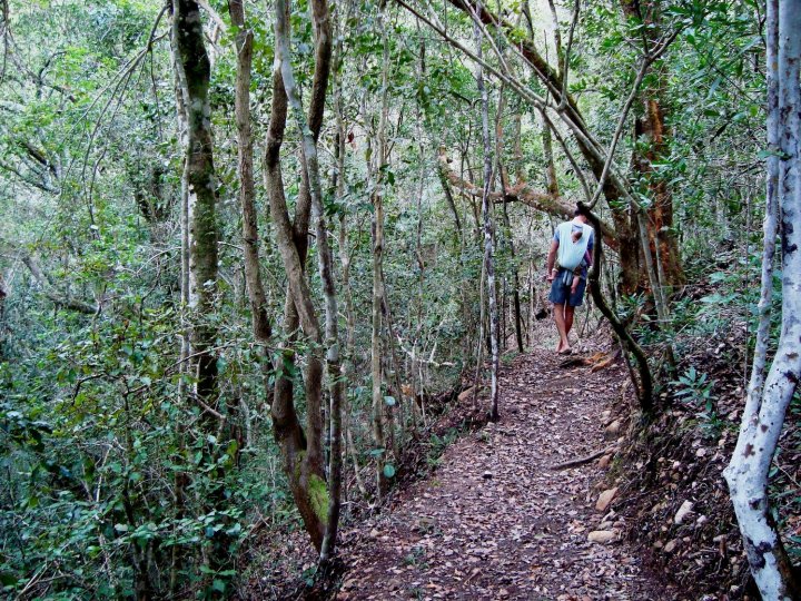 兀兰自助式酒店(Woodlands Self Catering, Knysna)