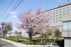 城市广场北上酒店(Hotel City Plaza Kitakami)