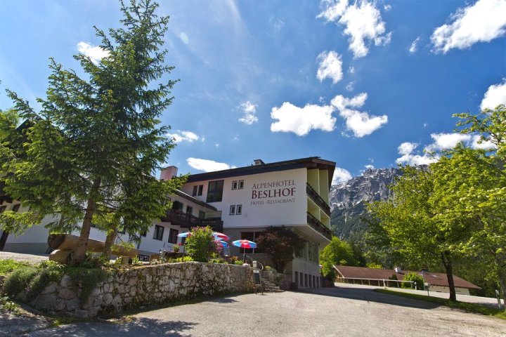 贝斯霍夫阿尔卑斯山酒店(Alpenhotel Beslhof)