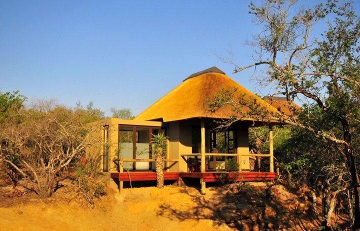 猎豹之爪生态小屋(Cheetah Paw Eco Lodge)