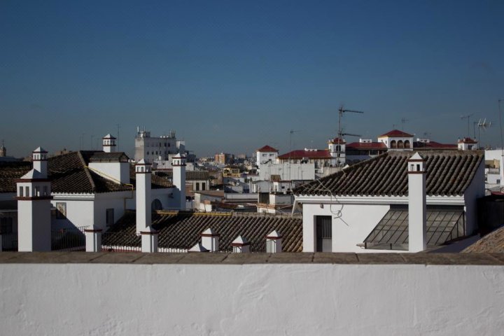 塞维利亚黑天鹅旅舍(Black Swan Hostel Sevilla)
