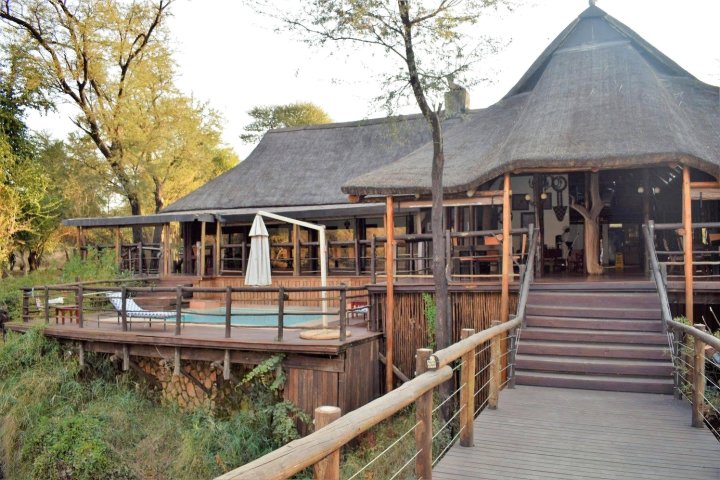 玛迪克威河旅馆(Madikwe River Lodge)