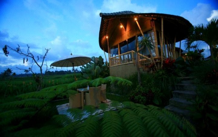 巴厘帕迪生态别墅度假村(Padi Bali Eco Villas)
