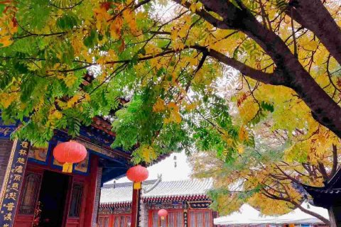 广缘客栈(五台山广化寺店)