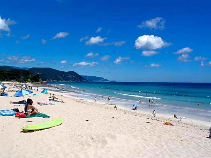 伊豆下田樱家海滨旅馆(Seaside Pension Sakuraya)