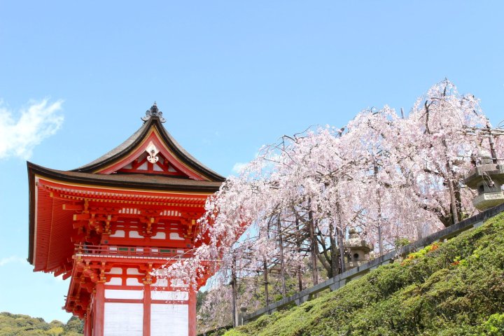Stay SAKURA 京都 二条四季(Stay Sakura Kyoto Nijo Seasons)