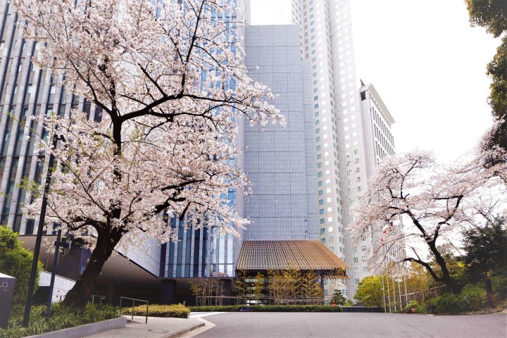 东急凯彼德大饭店(The Capitol Hotel Tokyu Tokyo)