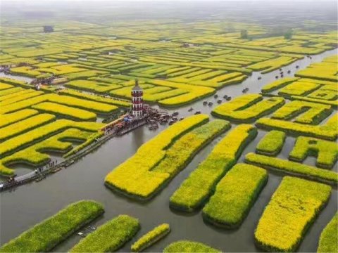 泰州泰州千垛菜华风景区农家民宿(东旺南路分店)(东旺北村分店)