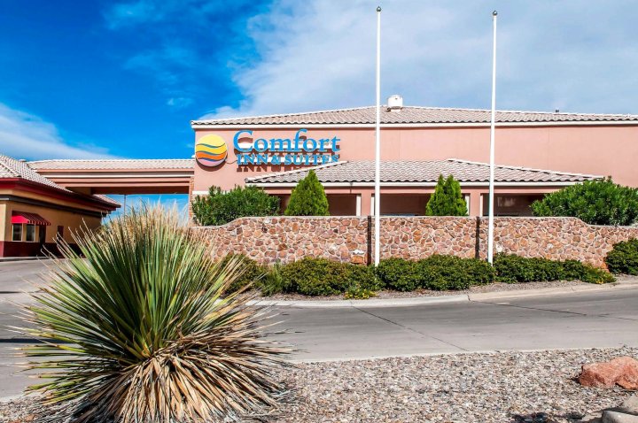 I-25 舒适套房酒店 - 近美国太空港(Comfort Inn & Suites I-25 Near Spaceport America)