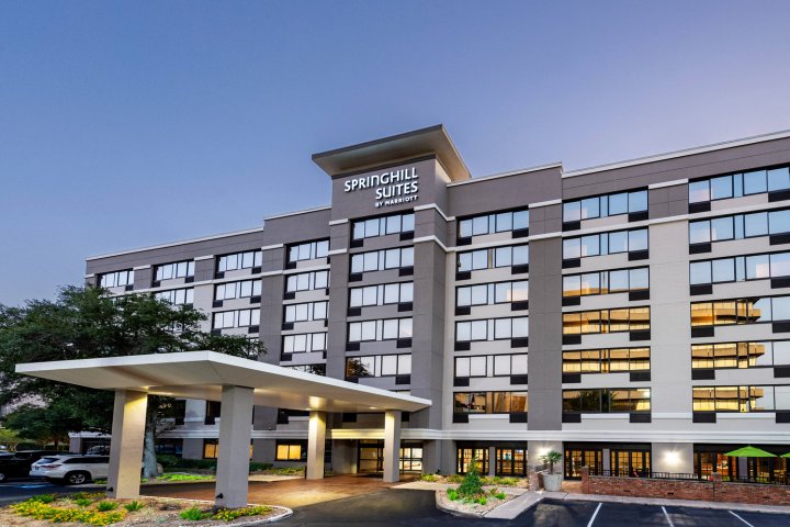 休斯顿医疗中心/NRG公园万豪春丘酒店(SpringHill Suites Houston Medical Center / NRG Park)