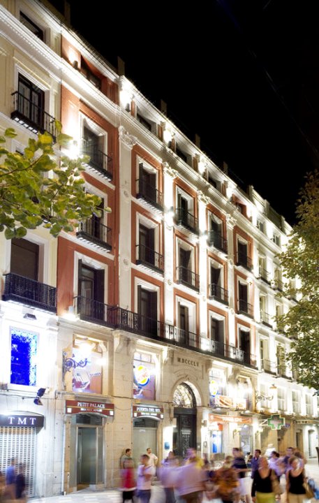 珀蒂宫太阳门酒店(Petit Palace Puerta del Sol)